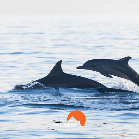 #088 T2 Sao Rafael 64b By Holidays Albufeira